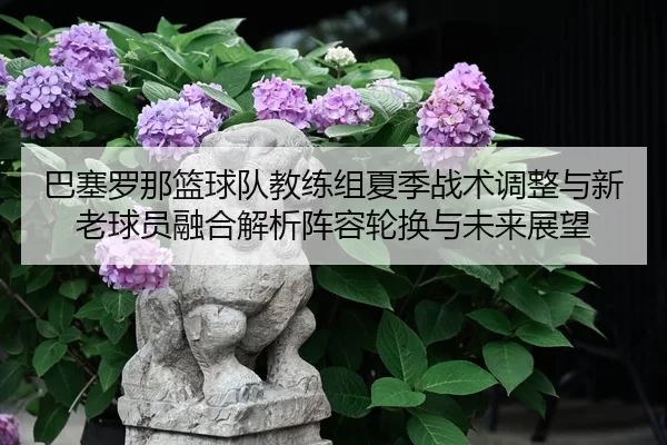 巴塞罗那篮球队教练组夏季战术调整与新老球员融合解析阵容轮换与未来展望